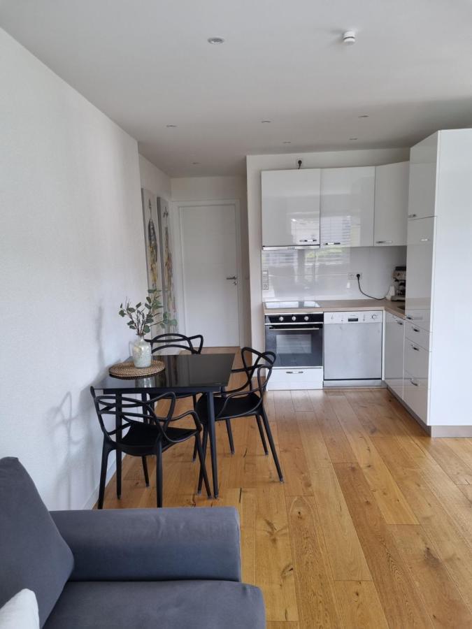 Ella'S Lounge - Besonders Geniessen Apartment Singen Exterior photo